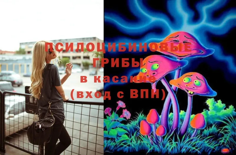 Псилоцибиновые грибы Psilocybine cubensis  наркотики  Вышний Волочёк 